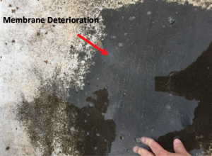 Membrane deterioration on commercial roof 
