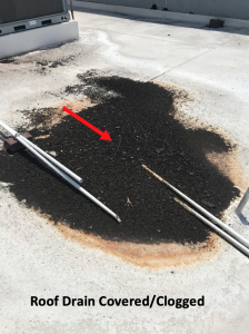 Roof drain covered/clogged